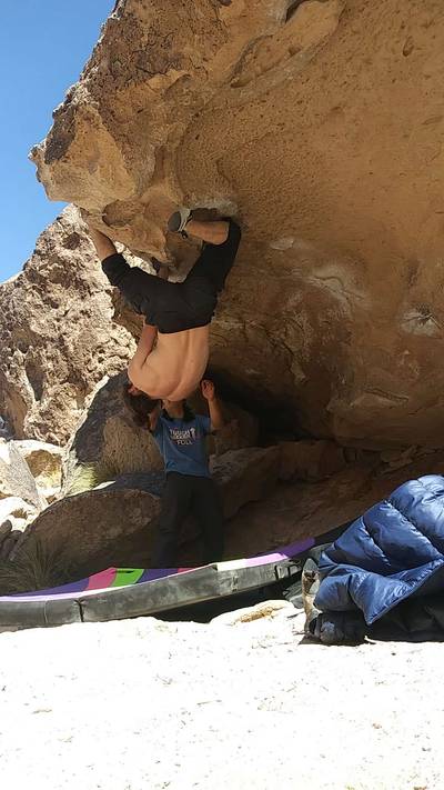 Monkey Hang v3, Bishop - Beta Video from louster