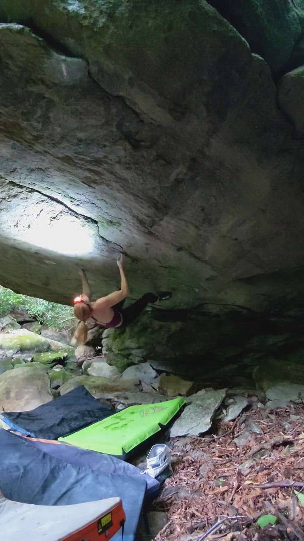 Echolocation v11, Boone - Beta Video from sera_gearhart