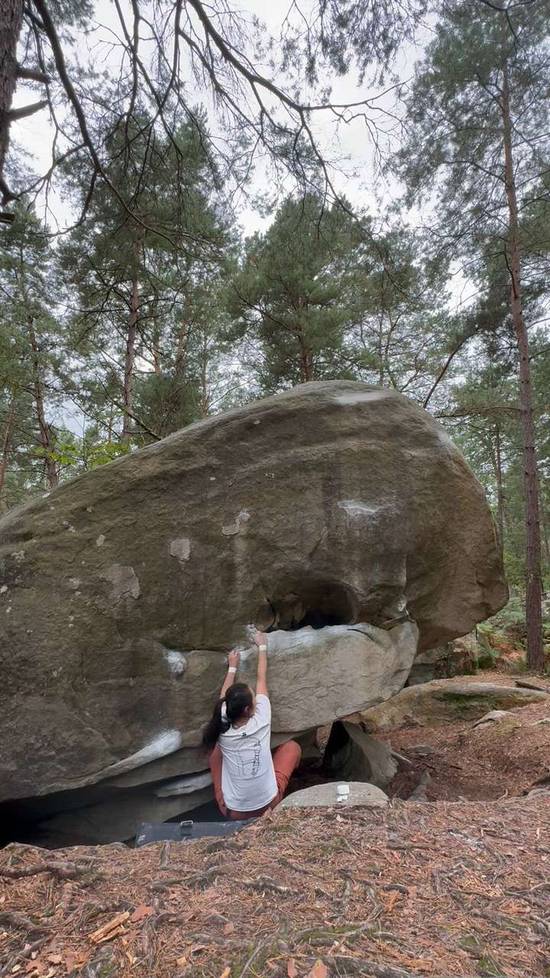 Tequila Sunrise v5, Fontainebleau - Beta Video from xinyuez