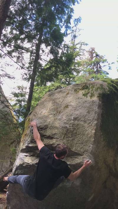 The Bee Professor v9, Squamish - Beta Video from AronHailey