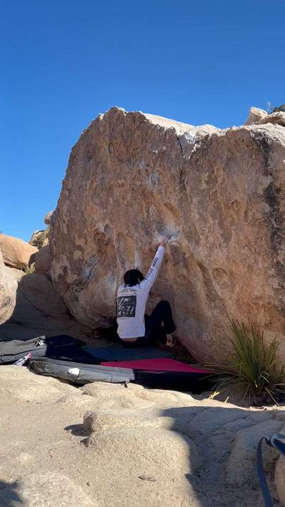Little Chucky v4, Joshua Tree - Beta Video from _catharsism