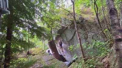 Bambi v8, Gold Bar - Beta Video from TBrannen