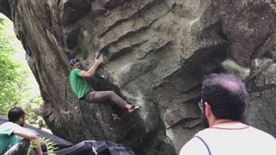 Ross Bongo v8, Gold Bar - Beta Video from TBrannen