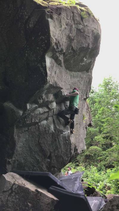 Kombucha v7, Gold Bar - Beta Video from TBrannen