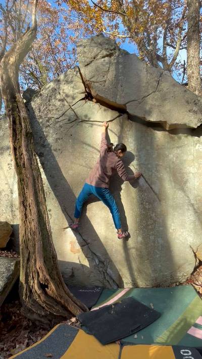 Earl the Squirrel v7, The Citadel - Beta Video from ermahgerd