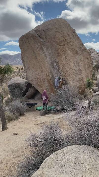 White Rastafarian v3, Joshua Tree - Beta Video from Bouldering_in_socks