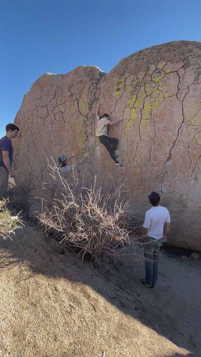 Green Wall Center v6, Bishop - Beta Video from ellzed