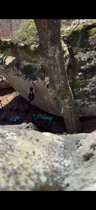 Shiver Me Timbers Direct v8, Stone Fort - Beta Video from Gagliardi