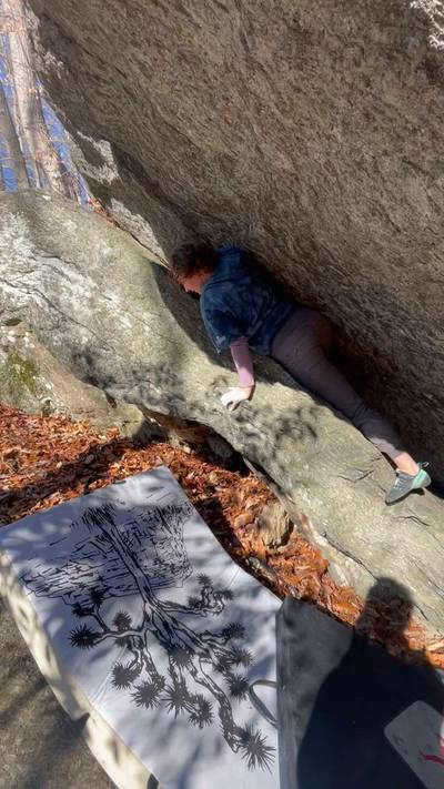 Welcome to the Face Jam v1, Gunpowder Falls - Beta Video from BiffingIt