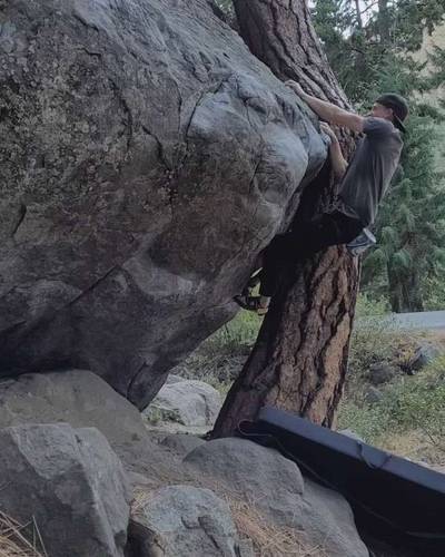 Twisted Tree v4, Leavenworth - Beta Video from Ronjiles