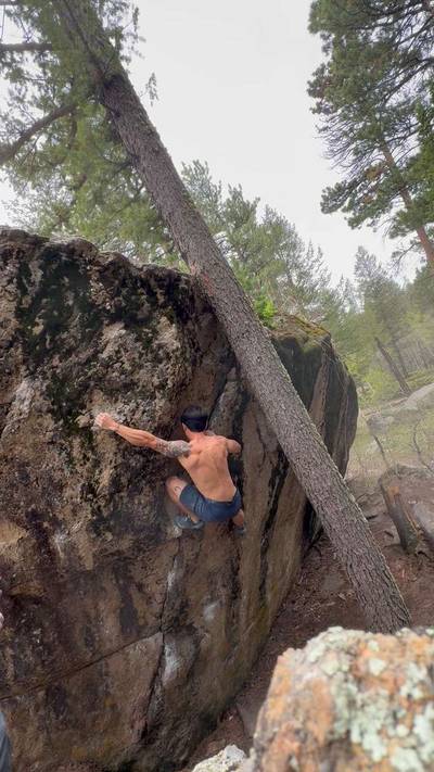 Immortal Technique v5, Rocky Mountain National Park - Beta Video from wchang