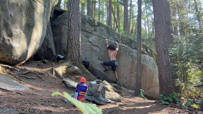 Eager Puppy v4, Vancouver - Beta Video from pooperscooper