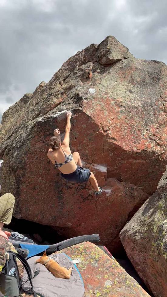 Bird of Paradise v6, Uintas - Beta Video from Xtina