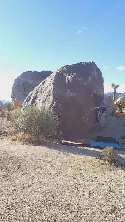 Attractive Brunette v2, Joshua Tree - Beta Video from j.k0000