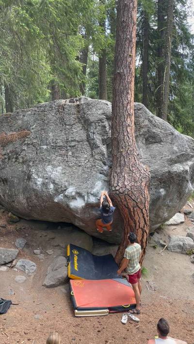 Twisted Tree v4, Leavenworth - Beta Video from shmy0512