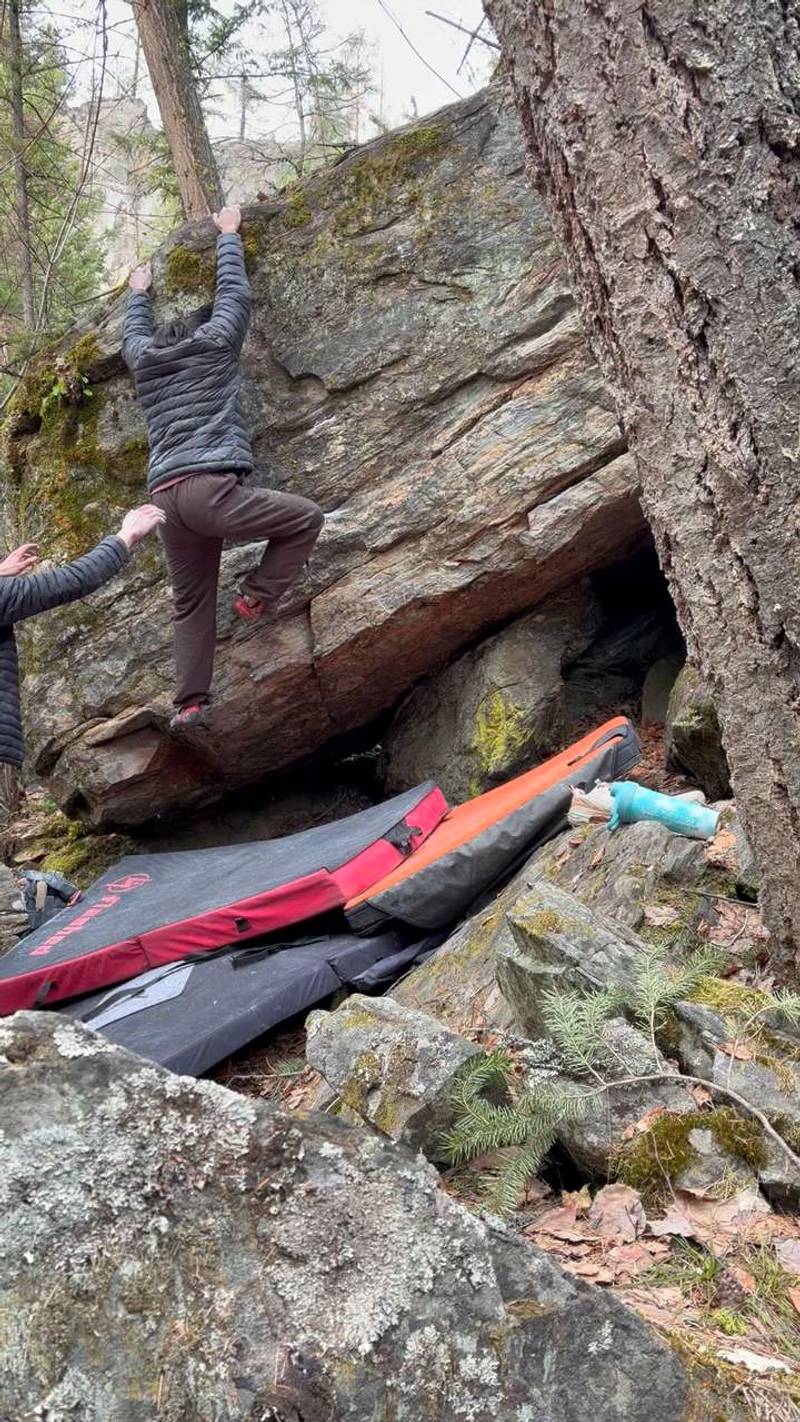 Baby Tooth v3, Vernon - Beta Video from taimichon