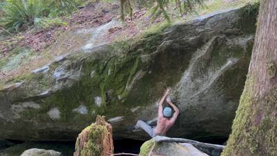 The Network Low v7, Index - Beta Video from daBoulder