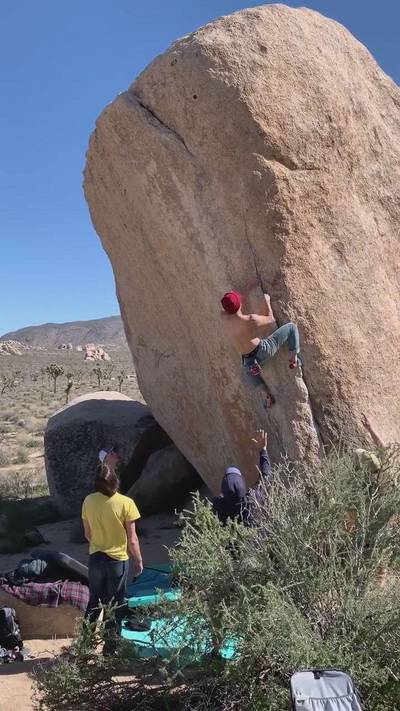 White Rastafarian v3, Joshua Tree - Beta Video from Russelluprocks