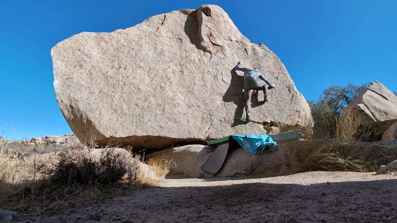 Penny Pincher v0, Joshua Tree - Beta Video from meez