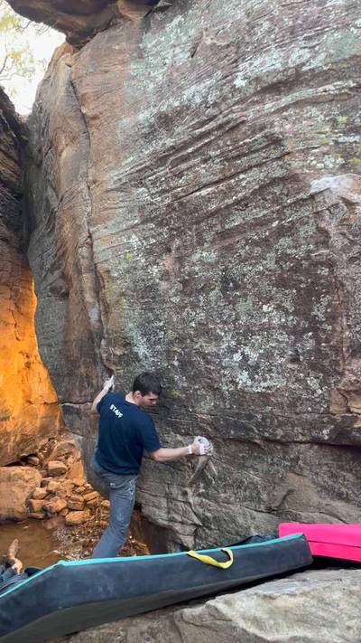 Butterfly Effect v8, Roy - Beta Video from tr3