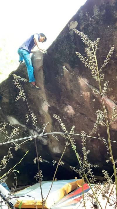 Moondye Stand v5, Horseshoe Canyon Ranch - Beta Video from Forever_V3