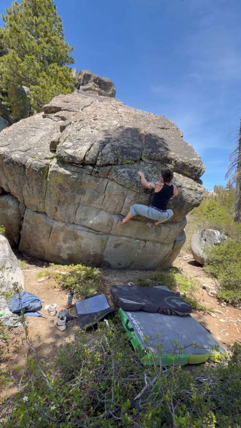 Diagnosis Yogurt v6, Lake Tahoe - Beta Video from spung