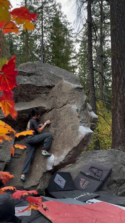 The Fin v2, Leavenworth - Beta Video from yujinkim