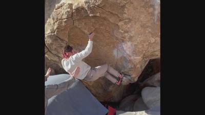 Turtle v6, Joshua Tree - Beta Video from Sydneyrinanna