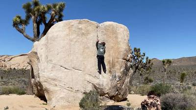 Pinhead v1, Joshua Tree - Beta Video from xchristianloux
