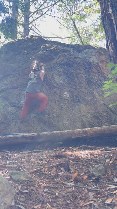 Dave's Not Here v2, Mt. Tamalpais - Beta Video from austinrhee
