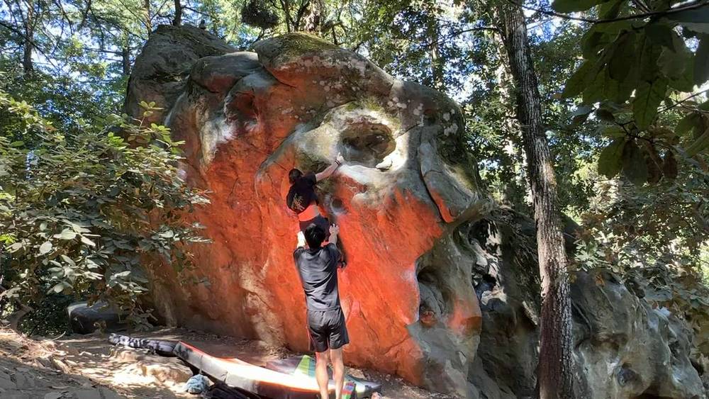 The Tree Problem v2, Indian Rock - Beta Video from leta