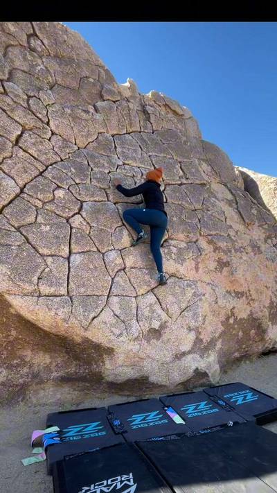 Dragon Scales vB, Joshua Tree - Beta Video from Vidhya