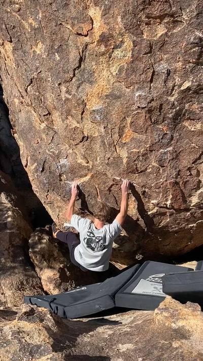 Nicole Face v4, Joshua Tree - Beta Video from ZackaryH