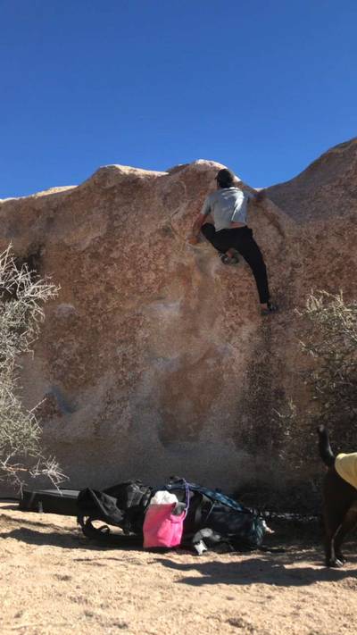 Boxer v2, Joshua Tree - Beta Video from breakingbeta