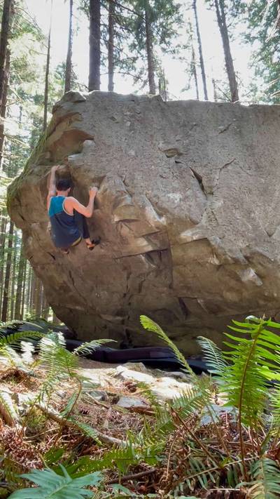 Golden Power Shower v7, North Bend - Beta Video from Halc