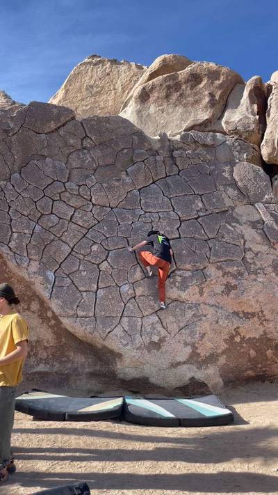Dragon Scales vB, Joshua Tree - Beta Video from rosalyn