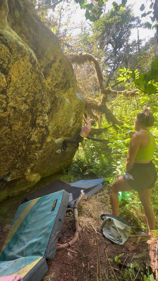 Cookie Monster v7, Miller River - Beta Video from nicolemaksi