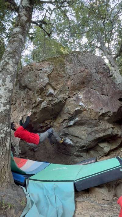 Pee Wee's Little Adventure v7, Mt. Tamalpais - Beta Video from Rising