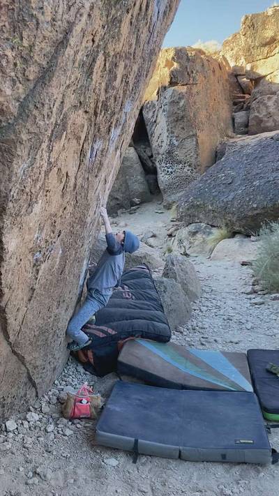 Molly v5, Bishop - Beta Video from AriefNagara
