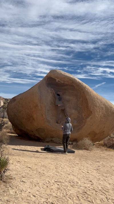Womb v0, Joshua Tree - Beta Video from dschaf