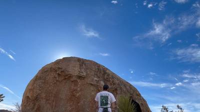 Fry Problem v3, Joshua Tree - Beta Video from Moler44