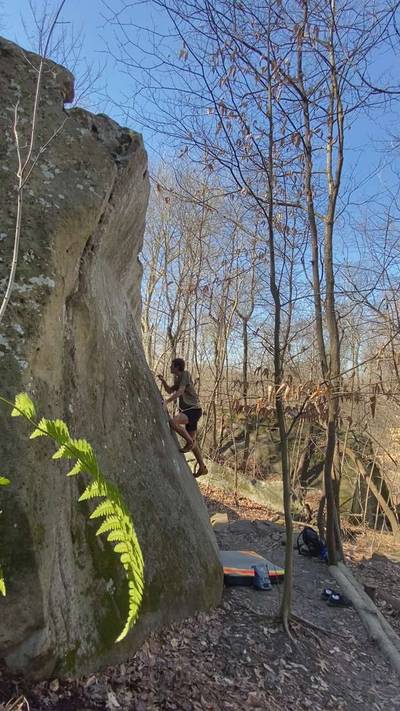 Full Grain v4, Holy Boulders - Beta Video from jonathanrog
