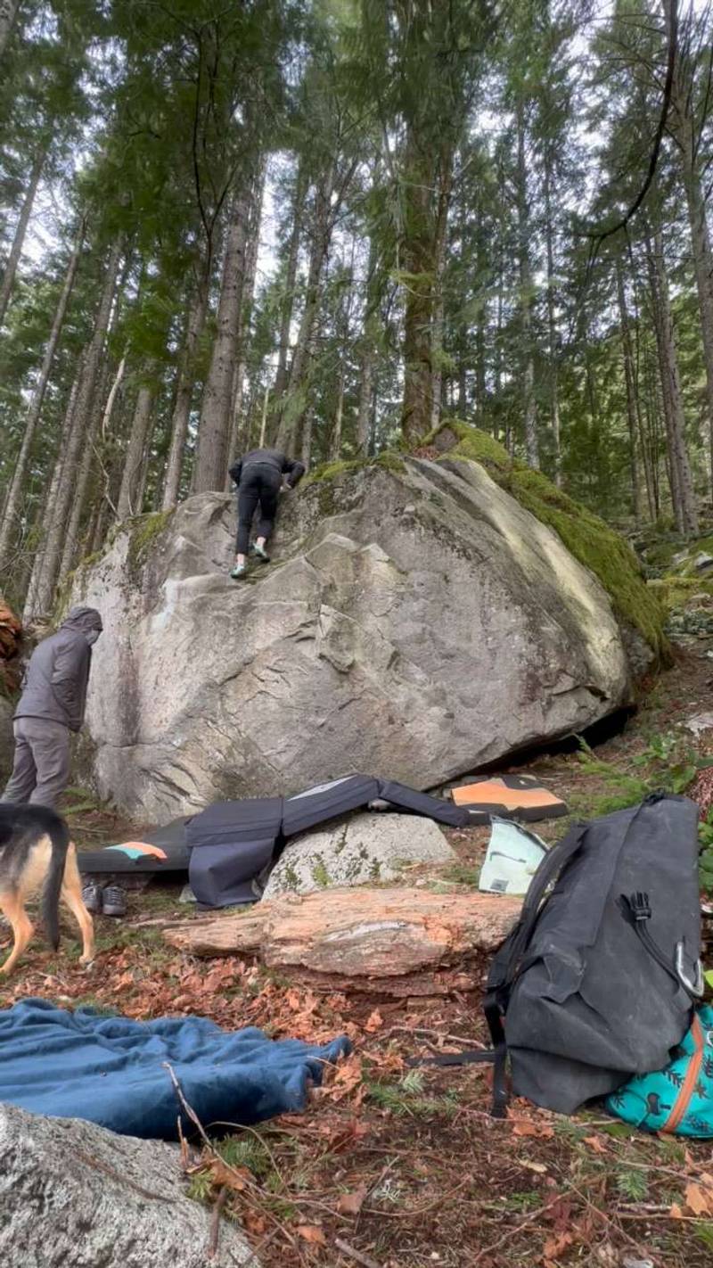 Regatta de Blanc v0, Gold Bar - Beta Video from nols