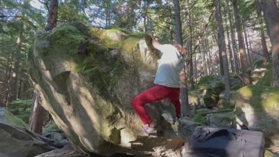 Carpenter Ants v1, Squamish - Beta Video from numberten