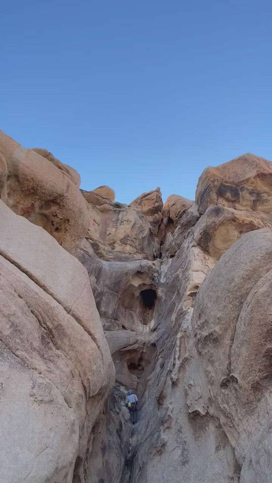 The Eye 5.4, Joshua Tree - Beta Video from susansaysSENDIT