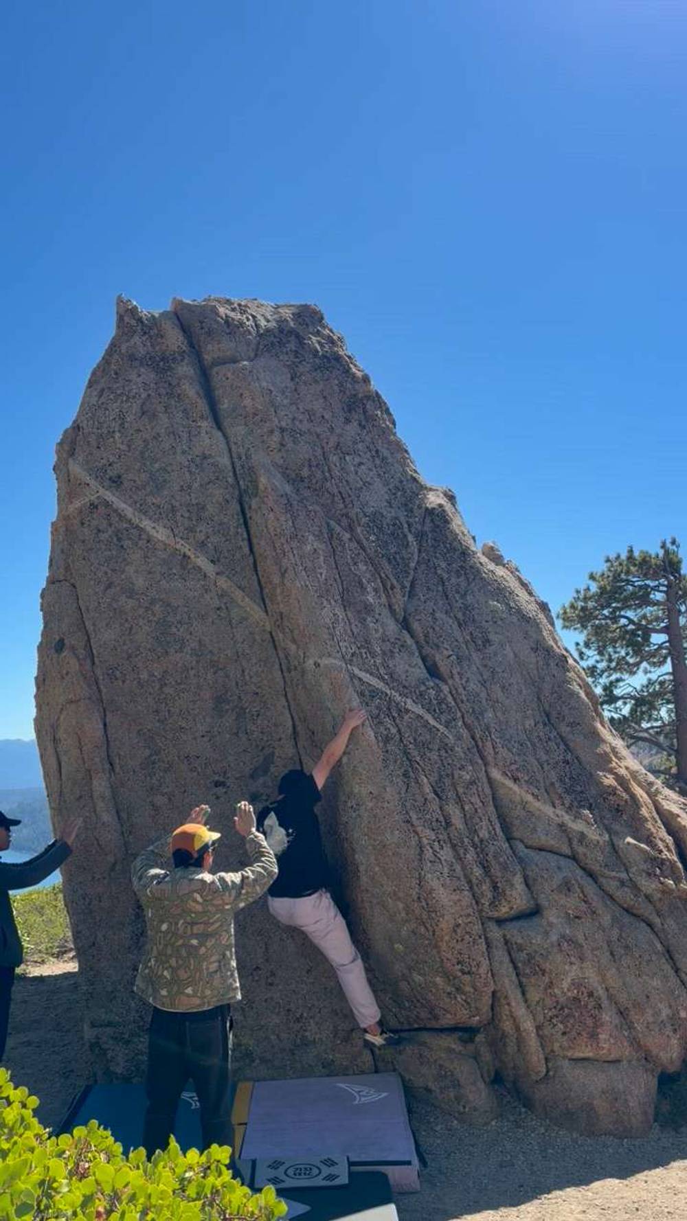 Winged Migration v0, Lake Tahoe - Beta Video from Yifeng