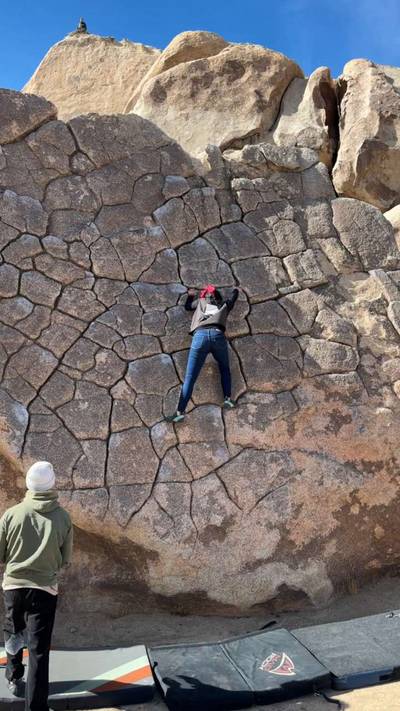 Dragon Scales vB, Joshua Tree - Beta Video from candy