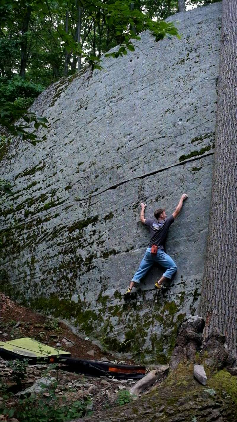 Four Ton Katydid v2, Coopers Rock - Beta Video from CryceBayton