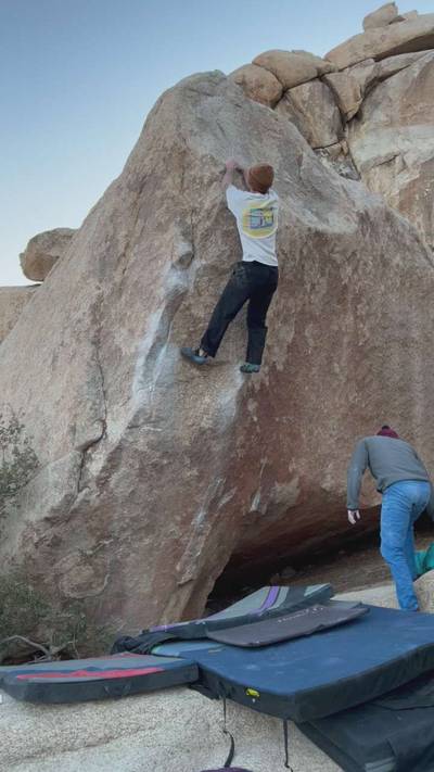 Scatterbrain v6, Joshua Tree - Beta Video from showerbum01