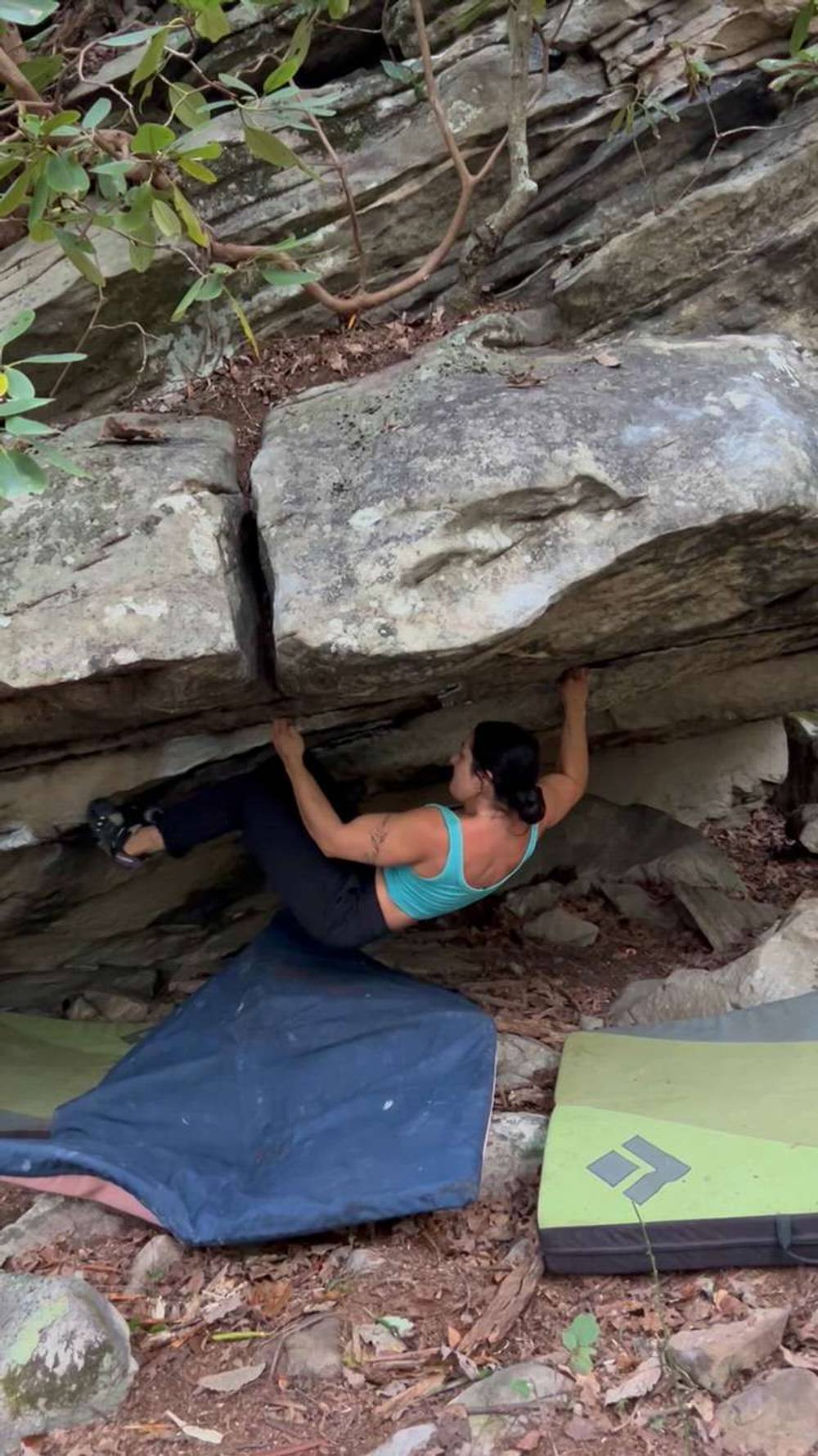 Siamese Dream v8, New River Gorge - Beta Video from MaryChristine